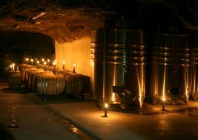 wine cellar visit