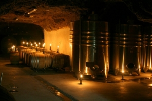 wine cellar visit