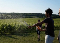 wine tasting bourgueil
