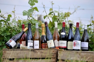 wine tasting loire valley